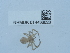  ( - NHMUK014438828)  @11 [ ] Unspecified (default): All Rights Reserved  Unspecified Unspecified