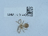 ( - NHMUK014438828)  @11 [ ] Unspecified (default): All Rights Reserved  Unspecified Unspecified