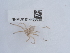  ( - NHMUK014438830)  @11 [ ] Unspecified (default): All Rights Reserved  Unspecified Unspecified