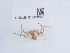  ( - NHMUK014438830)  @11 [ ] Unspecified (default): All Rights Reserved  Unspecified Unspecified