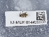  ( - NHMUK014438869)  @11 [ ] Unspecified (default): All Rights Reserved  Unspecified Unspecified
