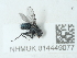  ( - NHMUK014449077)  @11 [ ] Unspecified (default): All Rights Reserved  Unspecified Unspecified