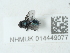  ( - NHMUK014449077)  @11 [ ] Unspecified (default): All Rights Reserved  Unspecified Unspecified