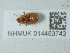  ( - NHMUK014453742)  @11 [ ] Unspecified (default): All Rights Reserved  Unspecified Unspecified
