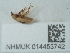 ( - NHMUK014453742)  @11 [ ] Unspecified (default): All Rights Reserved  Unspecified Unspecified