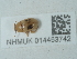  ( - NHMUK014453742)  @11 [ ] Unspecified (default): All Rights Reserved  Unspecified Unspecified