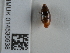  ( - NHMUK014536938)  @11 [ ] Unspecified (default): All Rights Reserved  Unspecified Unspecified