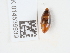  ( - NHMUK014536939)  @11 [ ] Unspecified (default): All Rights Reserved  Unspecified Unspecified