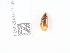  ( - NHMUK014536939)  @11 [ ] Unspecified (default): All Rights Reserved  Unspecified Unspecified