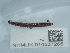  ( - NHMUK014537265)  @11 [ ] Unspecified (default): All Rights Reserved  Unspecified Unspecified