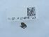  ( - NHMUK014562120)  @11 [ ] Unspecified (default): All Rights Reserved  Unspecified Unspecified