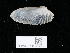  ( - NHMUK014562546)  @11 [ ] Unspecified (default): All Rights Reserved  Unspecified Unspecified