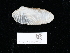  ( - NHMUK014562546)  @11 [ ] Unspecified (default): All Rights Reserved  Unspecified Unspecified