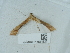  ( - NHMUK014584826)  @11 [ ] Unspecified (default): All Rights Reserved  Unspecified Unspecified