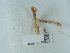  ( - NHMUK014584826)  @11 [ ] Unspecified (default): All Rights Reserved  Unspecified Unspecified
