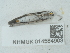  ( - NHMUK014584903)  @11 [ ] Unspecified (default): All Rights Reserved  Unspecified Unspecified