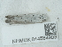  ( - NHMUK014584903)  @11 [ ] Unspecified (default): All Rights Reserved  Unspecified Unspecified