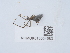  ( - NHMUK015054583)  @11 [ ] Unspecified (default): All Rights Reserved  Unspecified Unspecified