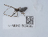  ( - NHMUK015054583)  @11 [ ] Unspecified (default): All Rights Reserved  Unspecified Unspecified