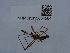  ( - NHMUK015054584)  @11 [ ] Unspecified (default): All Rights Reserved  Unspecified Unspecified