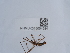  ( - NHMUK015054584)  @11 [ ] Unspecified (default): All Rights Reserved  Unspecified Unspecified