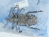 ( - NHMUK015059577)  @11 [ ] Unspecified (default): All Rights Reserved  Unspecified Unspecified