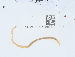  ( - NHMUK015059730)  @11 [ ] Unspecified (default): All Rights Reserved  Unspecified Unspecified