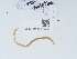  ( - NHMUK015059730)  @11 [ ] Unspecified (default): All Rights Reserved  Unspecified Unspecified