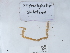  ( - NHMUK015059731)  @11 [ ] Unspecified (default): All Rights Reserved  Unspecified Unspecified