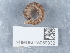  ( - NHMUK015059932)  @11 [ ] Unspecified (default): All Rights Reserved  Unspecified Unspecified