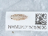  ( - NHMUK015059936)  @11 [ ] Unspecified (default): All Rights Reserved  Unspecified Unspecified