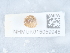  ( - NHMUK015059945)  @11 [ ] Unspecified (default): All Rights Reserved  Unspecified Unspecified