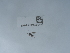  ( - NHMUK015060488)  @11 [ ] Unspecified (default): All Rights Reserved  Unspecified Unspecified