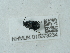  ( - NHMUK015073234)  @11 [ ] Unspecified (default): All Rights Reserved  Unspecified Unspecified