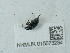  ( - NHMUK015073234)  @11 [ ] Unspecified (default): All Rights Reserved  Unspecified Unspecified