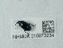  ( - NHMUK015073234)  @11 [ ] Unspecified (default): All Rights Reserved  Unspecified Unspecified