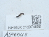  ( - NHMUK015074698)  @11 [ ] Unspecified (default): All Rights Reserved  Unspecified Unspecified