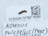  ( - NHMUK015074698)  @11 [ ] Unspecified (default): All Rights Reserved  Unspecified Unspecified