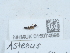  ( - NHMUK015074698)  @11 [ ] Unspecified (default): All Rights Reserved  Unspecified Unspecified