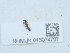  ( - NHMUK015074707)  @11 [ ] Unspecified (default): All Rights Reserved  Unspecified Unspecified