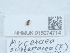  ( - NHMUK015074714)  @11 [ ] Unspecified (default): All Rights Reserved  Unspecified Unspecified