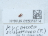  ( - NHMUK015074714)  @11 [ ] Unspecified (default): All Rights Reserved  Unspecified Unspecified