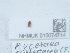  ( - NHMUK015074714)  @11 [ ] Unspecified (default): All Rights Reserved  Unspecified Unspecified