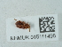  ( - NHMUK015111498)  @11 [ ] Unspecified (default): All Rights Reserved  Unspecified Unspecified