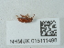 ( - NHMUK015111498)  @11 [ ] Unspecified (default): All Rights Reserved  Unspecified Unspecified