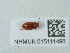  ( - NHMUK015111498)  @11 [ ] Unspecified (default): All Rights Reserved  Unspecified Unspecified