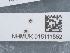  ( - NHMUK015111552)  @11 [ ] Unspecified (default): All Rights Reserved  Unspecified Unspecified