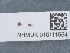  ( - NHMUK015111554)  @11 [ ] Unspecified (default): All Rights Reserved  Unspecified Unspecified