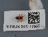  ( - NHMUK015111556)  @11 [ ] Unspecified (default): All Rights Reserved  Unspecified Unspecified
