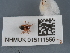  ( - NHMUK015111556)  @11 [ ] Unspecified (default): All Rights Reserved  Unspecified Unspecified